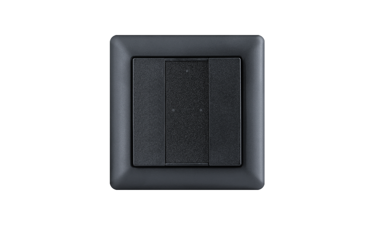 Model A DALI-2 Switch - 2 Button Black Plastic