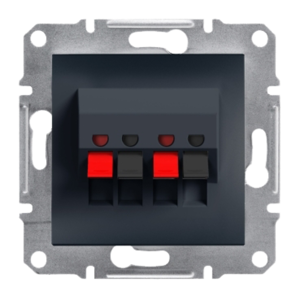 Double Loudspeaker Socket - Anthracite