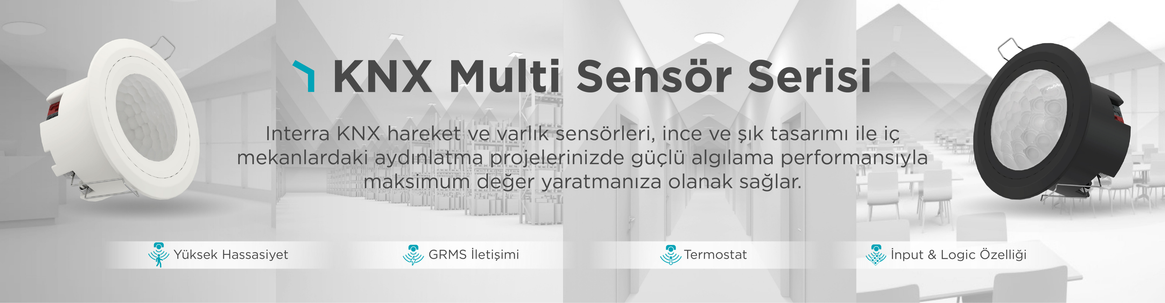 sensor serisi